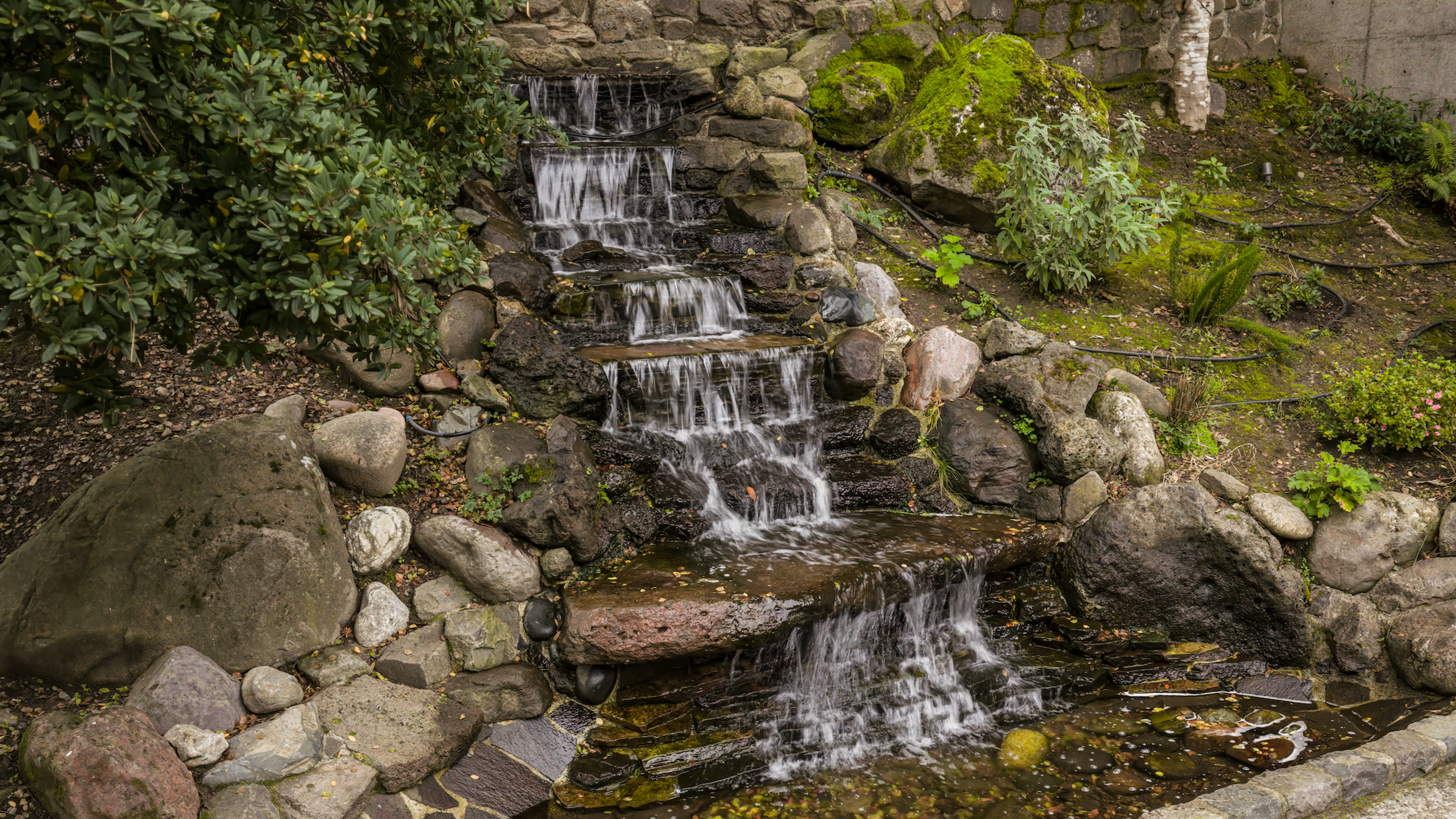 Elysian Registry — Museum-Grade Aerial Documentation & Visual Stewardship